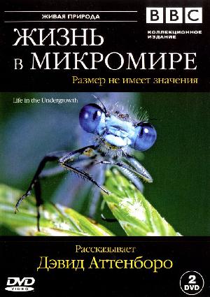 Постер к BBC: Жизнь в микромире 2005