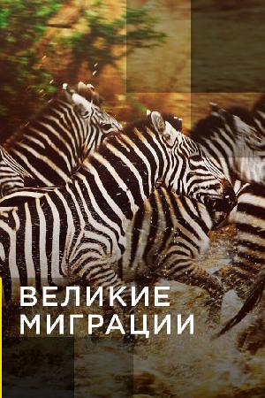 Постер к Великие миграции (2010)